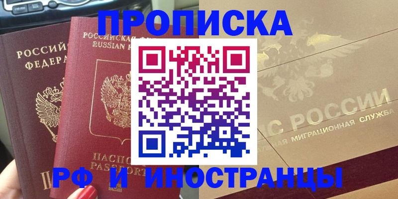 временная регистрация поиск в Долгопрудном